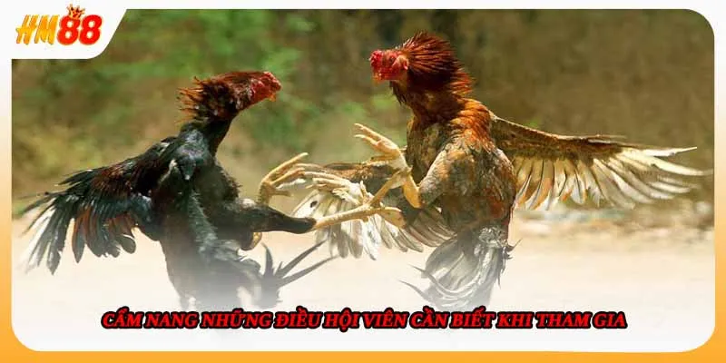 Cẩm nang những điều hội viên cần biết khi tham gia