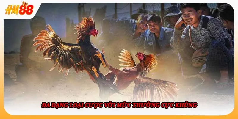 Đa dạng loại cược với mức thưởng cực khủng